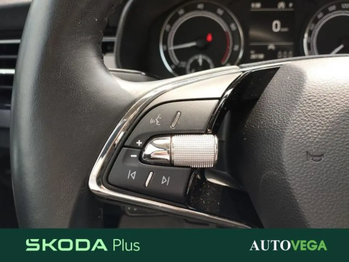 Skoda Kamiq usata a Vicenza (10)