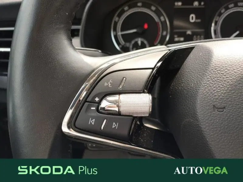 Skoda Kamiq usata a Vicenza (10)