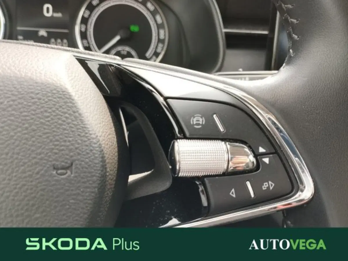 Skoda Kamiq usata a Vicenza (11)