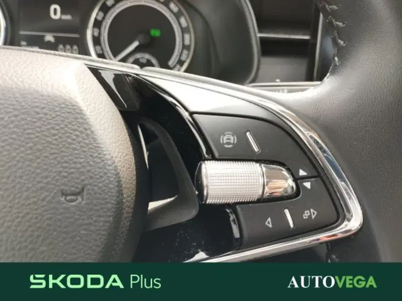 Skoda Kamiq usata a Vicenza (11)