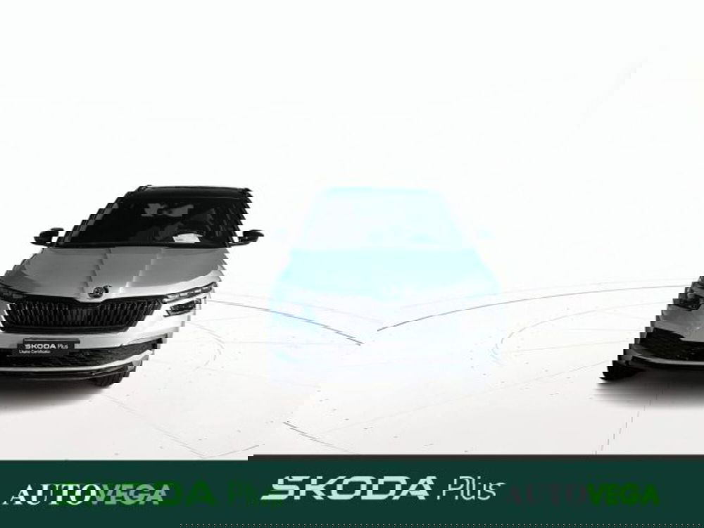 Skoda Kamiq usata a Vicenza (2)