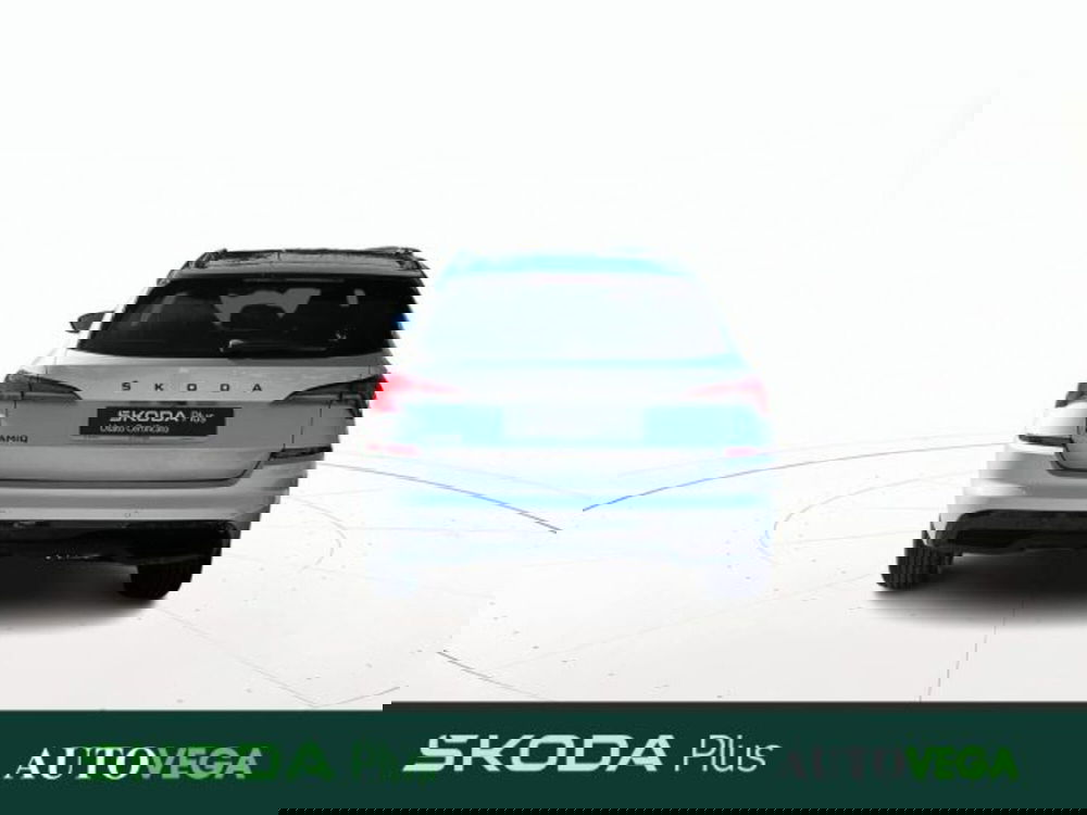 Skoda Kamiq usata a Vicenza (4)