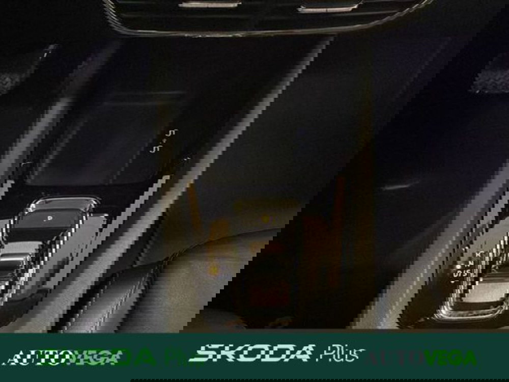 Skoda Octavia Station Wagon usata a Vicenza (11)