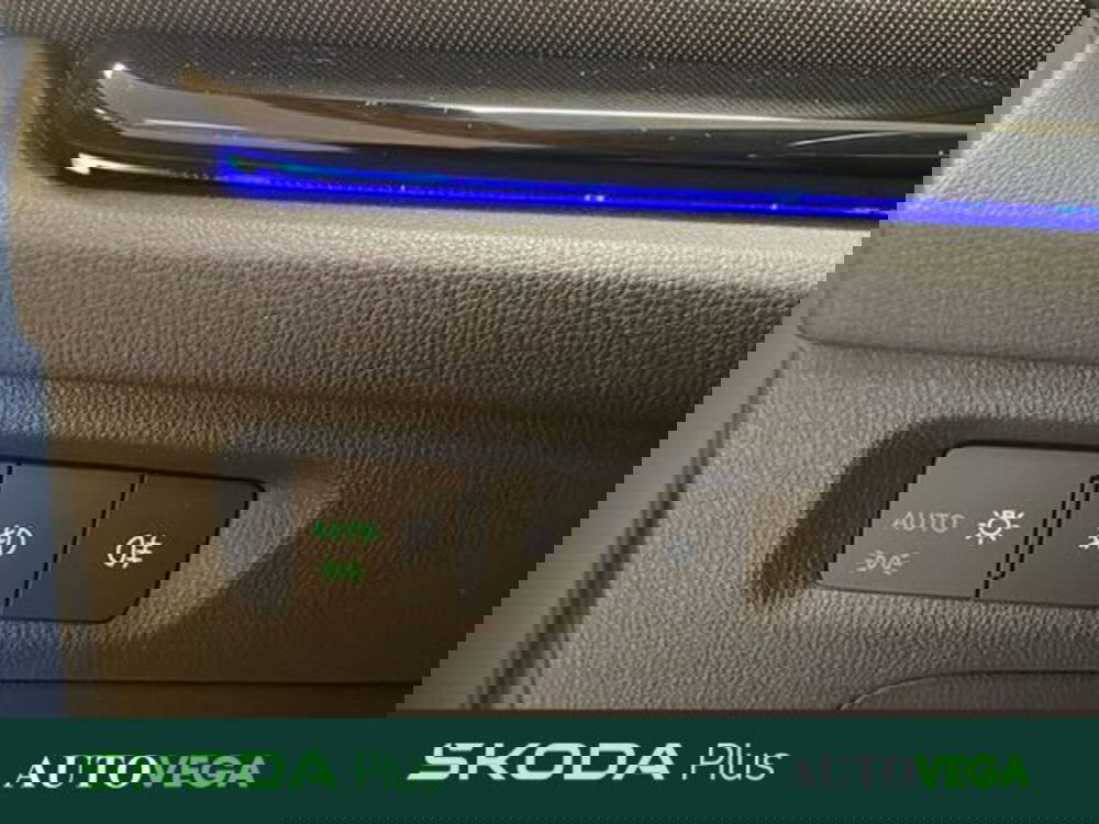 Skoda Octavia Station Wagon usata a Vicenza (18)