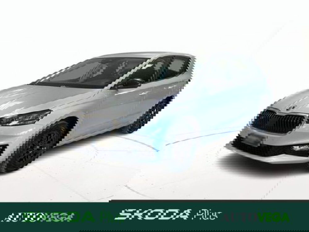 Skoda Fabia usata a Vicenza