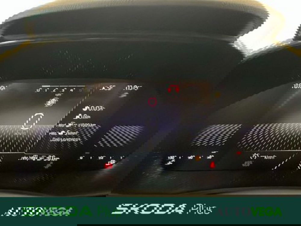 Skoda Fabia usata a Vicenza (14)