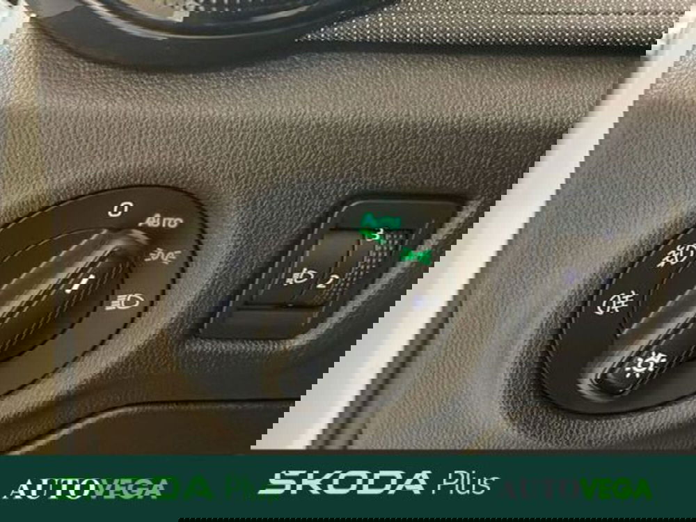 Skoda Fabia usata a Vicenza (15)