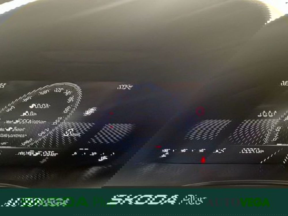 Skoda Kamiq usata a Vicenza (13)