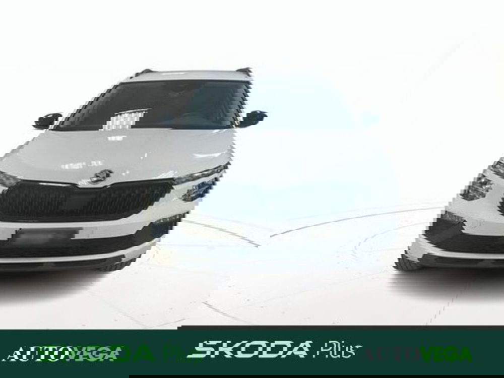 Skoda Kamiq usata a Vicenza (2)