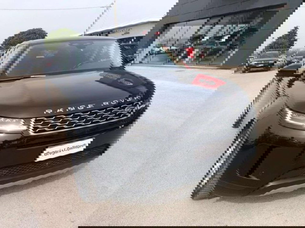 Land Rover Range Rover Evoque usata a Firenze (14)