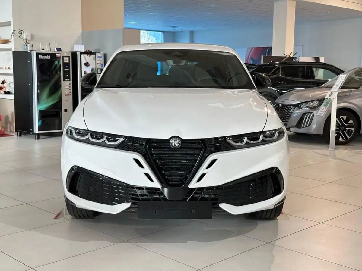 Alfa Romeo Tonale nuova a Sondrio (8)