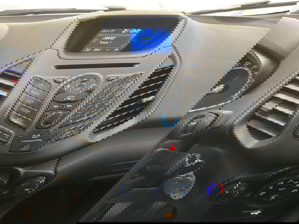 Ford EcoSport usata a Monza e Brianza (13)