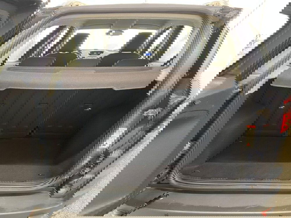 Ford EcoSport usata a Monza e Brianza (14)