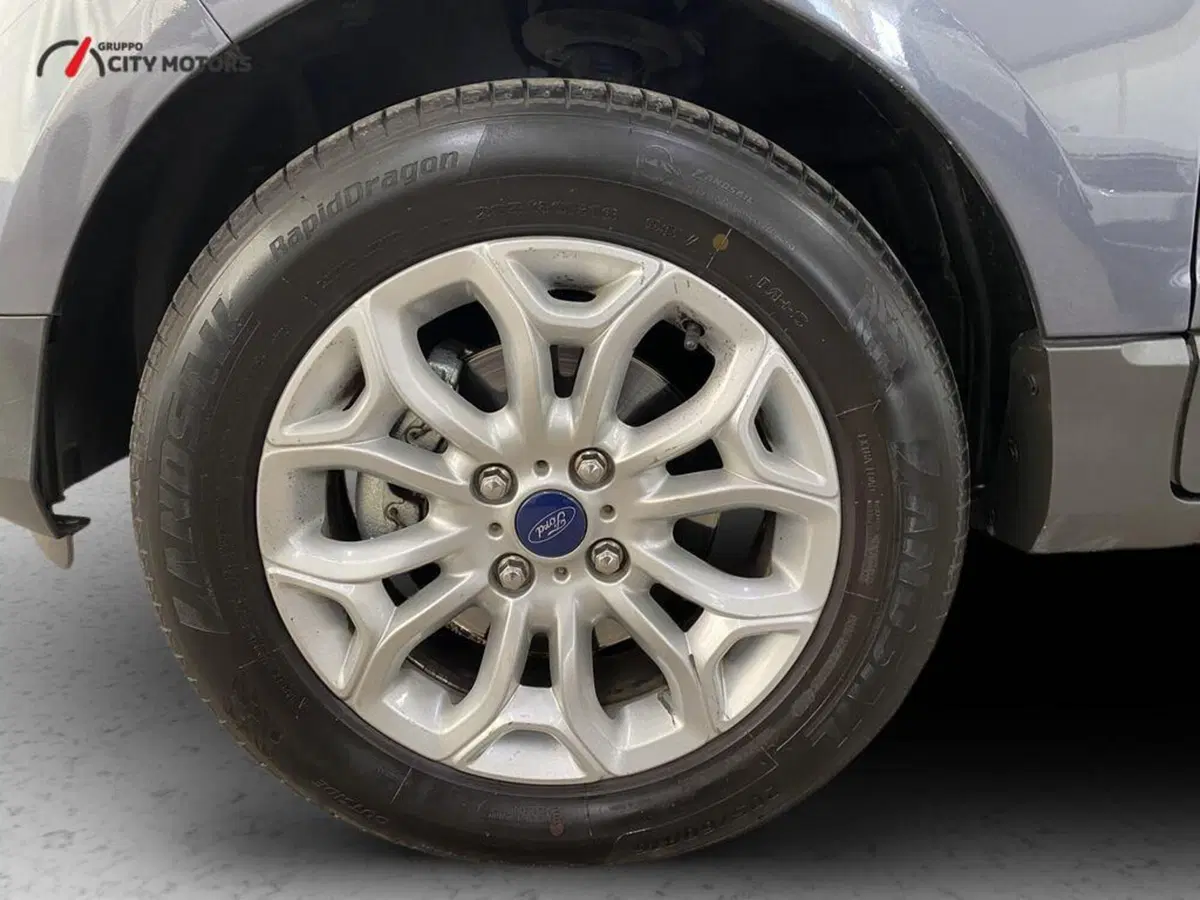 Ford EcoSport usata a Monza e Brianza (15)