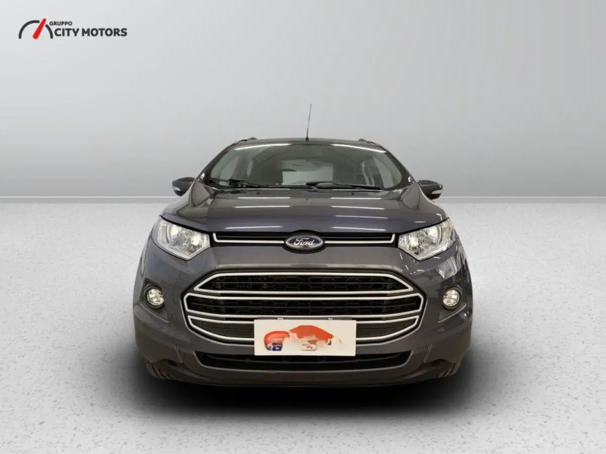 Ford EcoSport usata a Monza e Brianza (2)