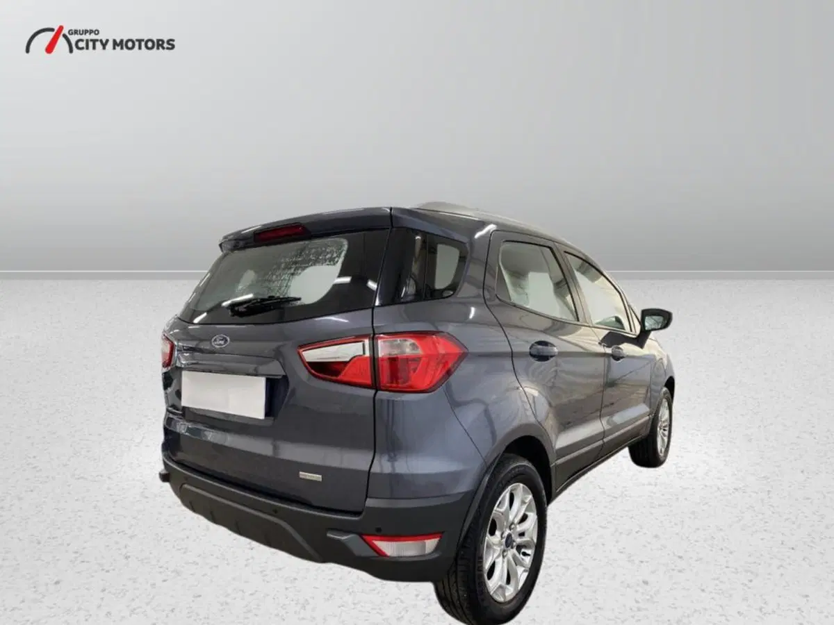 Ford EcoSport usata a Monza e Brianza (6)