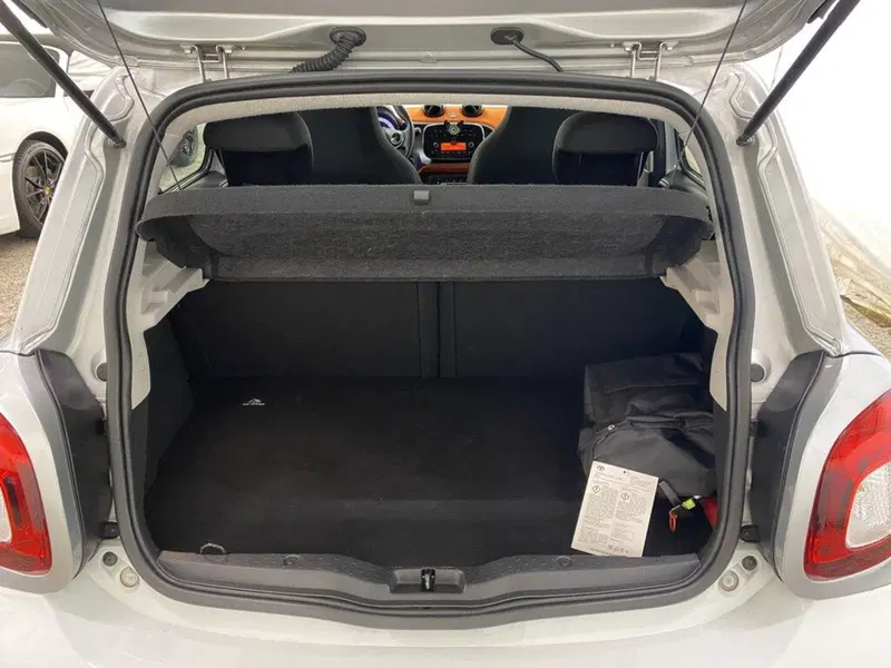 smart forfour usata a Monza e Brianza (13)