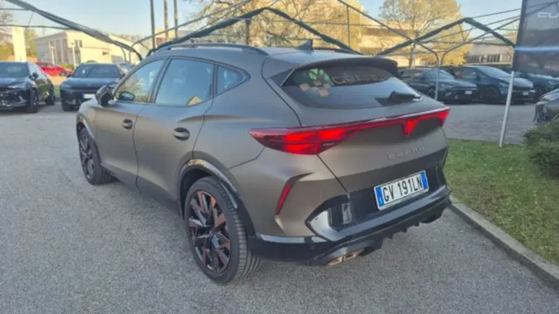Cupra Formentor usata a Bologna (4)