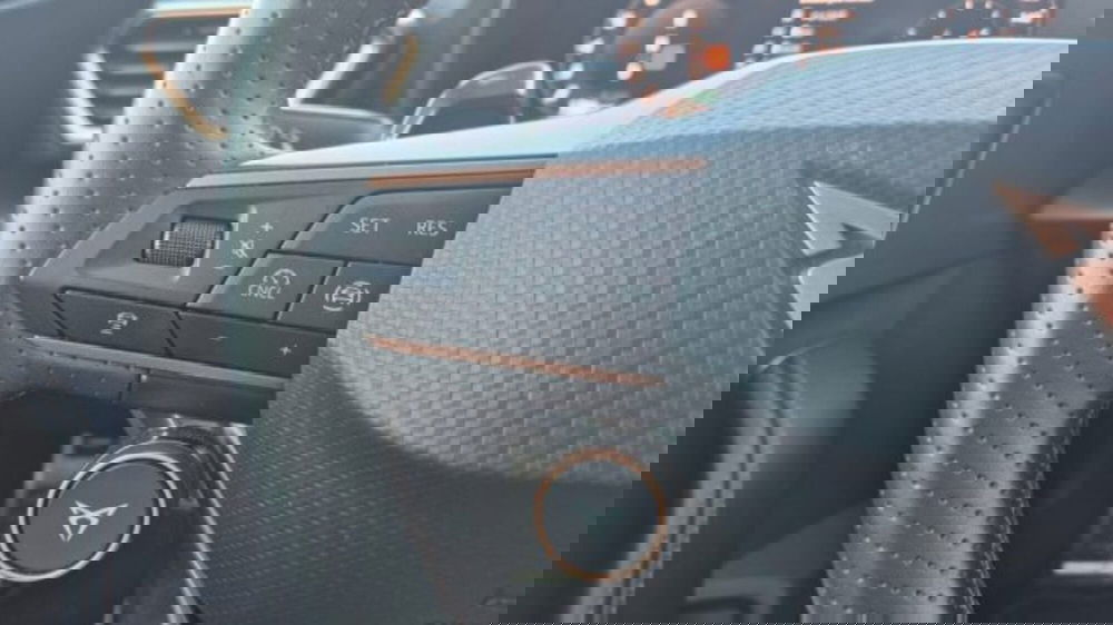 Cupra Formentor usata a Bologna (8)