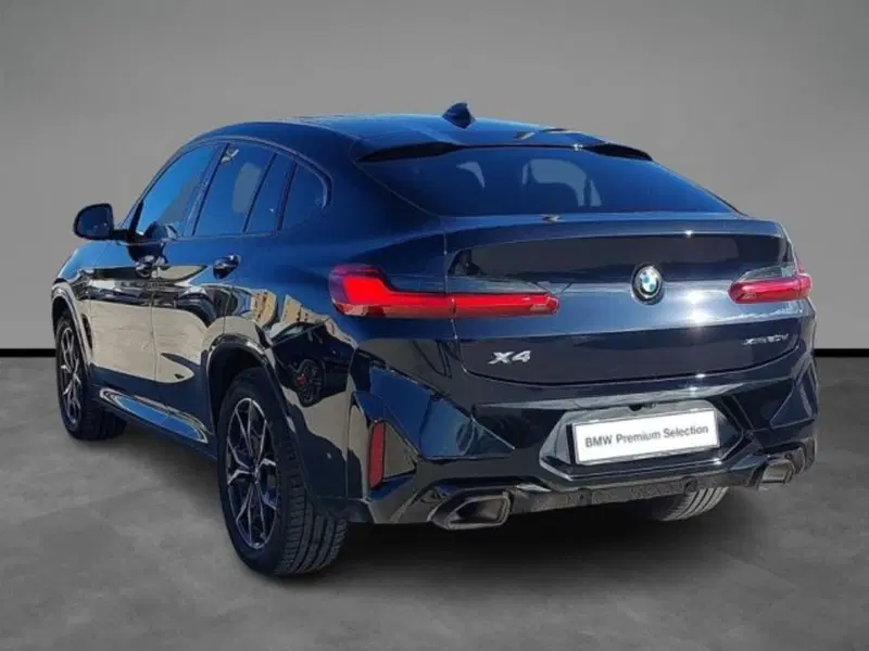 BMW X4 usata a Lecce (3)