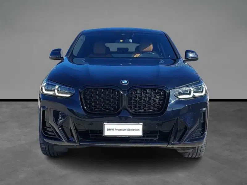 BMW X4 usata a Lecce (7)