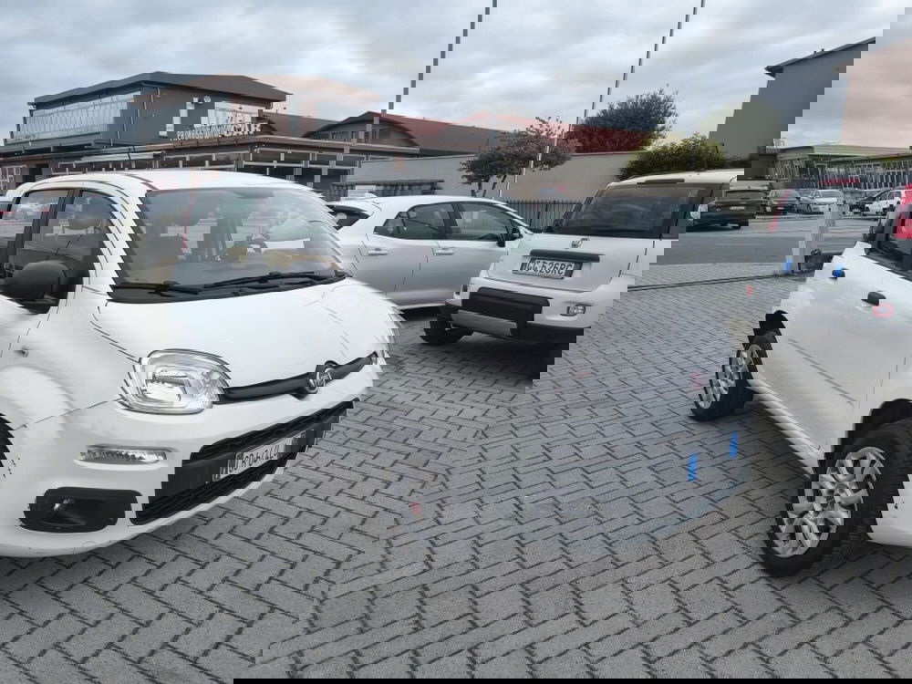 Fiat Panda usata a Firenze (3)