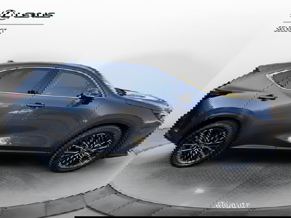 Lexus NX usata a Como (11)