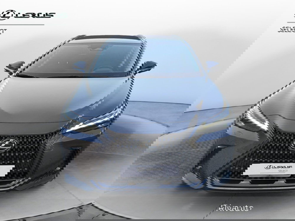 Lexus NX usata a Como (3)
