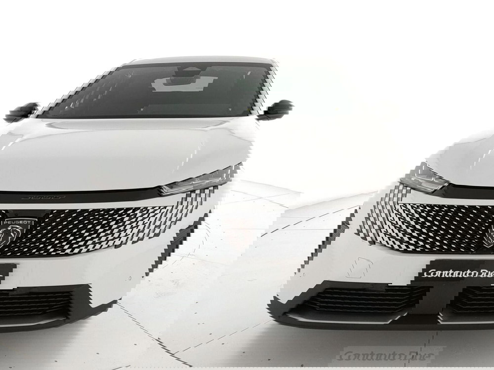 Peugeot 3008 usata a Caserta (2)