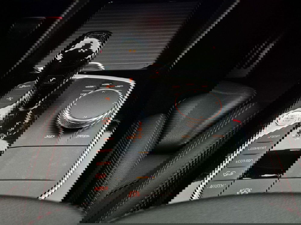 BMW X4 usata a Torino (11)