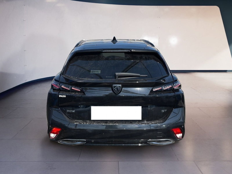 Peugeot 308 SW usata a Torino (5)