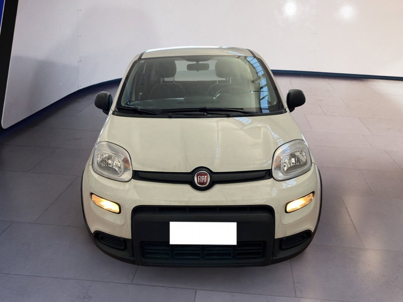 Fiat Panda Cross usata a Torino