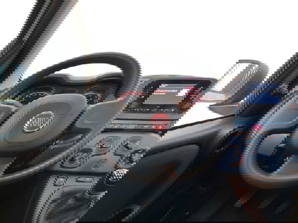 Fiat Panda Cross usata a Torino (11)