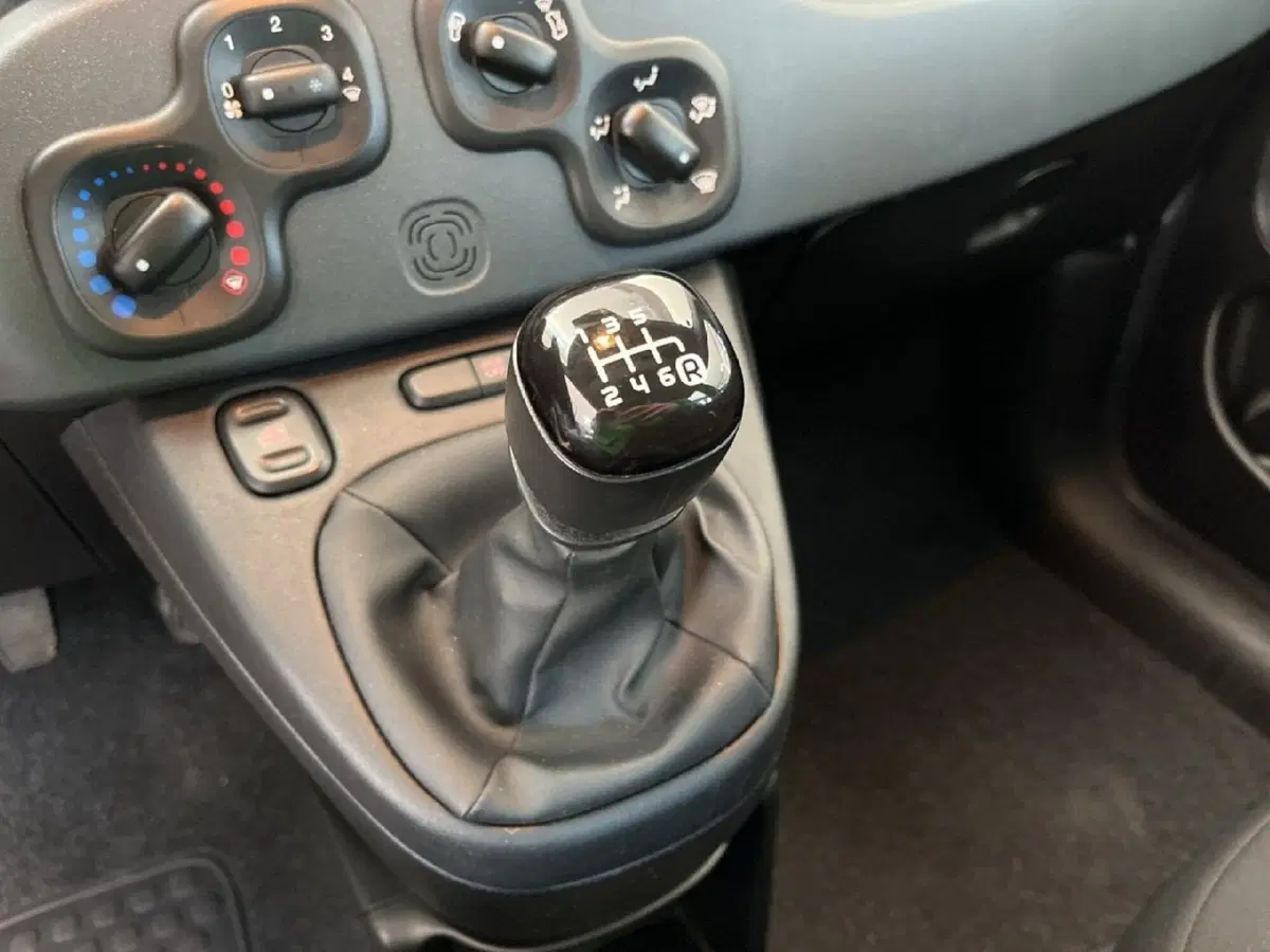 Fiat Panda Cross usata a Torino (12)