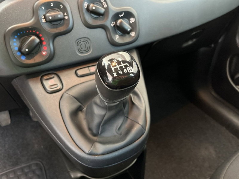 Fiat Panda Cross usata a Torino (12)