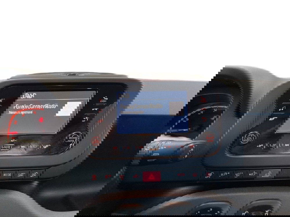 Fiat Panda Cross usata a Torino (13)