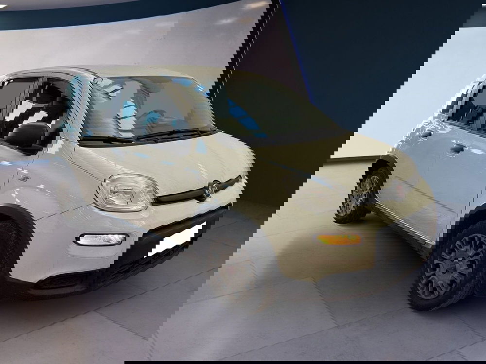 Fiat Panda Cross usata a Torino (2)