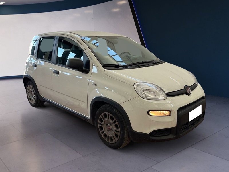 Fiat Panda Cross usata a Torino (2)