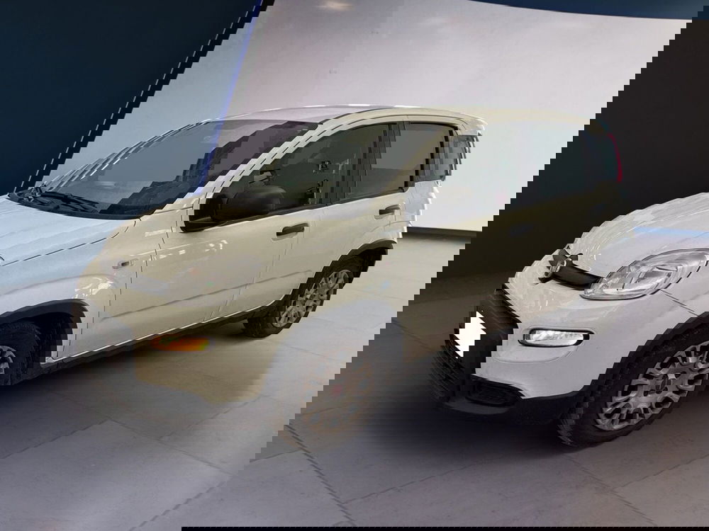 Fiat Panda Cross usata a Torino (3)