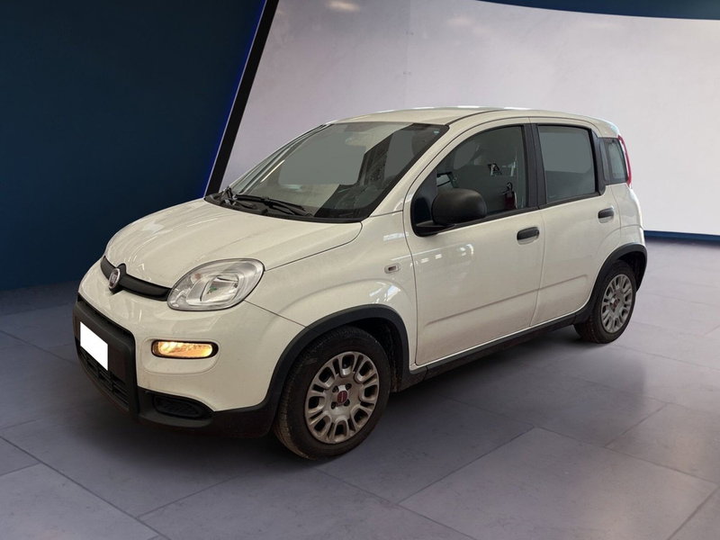 Fiat Panda Cross usata a Torino (3)