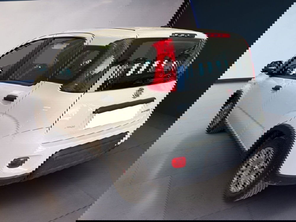 Fiat Panda Cross usata a Torino (4)