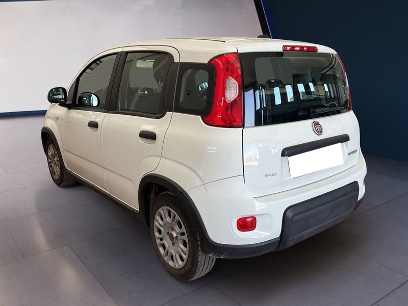 Fiat Panda Cross usata a Torino (4)