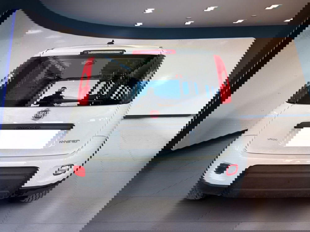 Fiat Panda Cross usata a Torino (5)