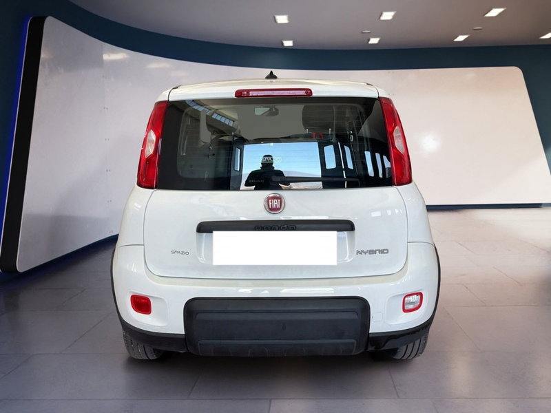 Fiat Panda Cross usata a Torino (5)