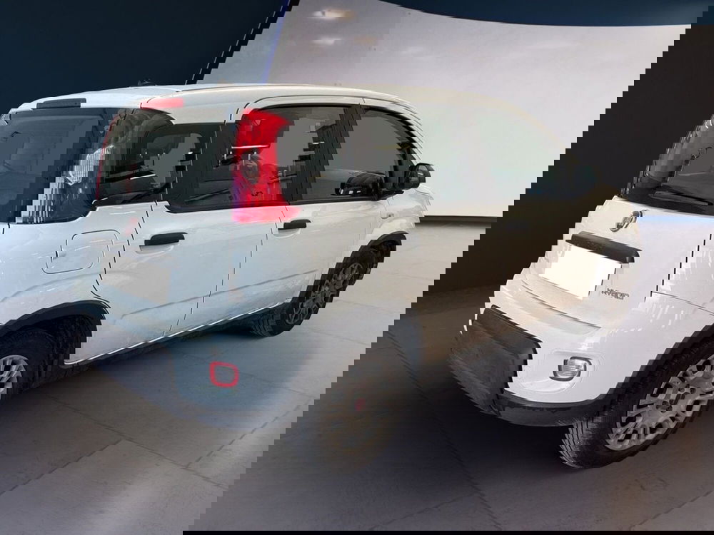 Fiat Panda Cross usata a Torino (6)