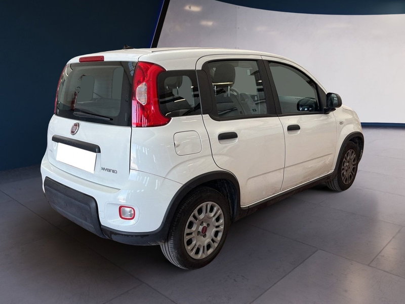 Fiat Panda Cross usata a Torino (6)