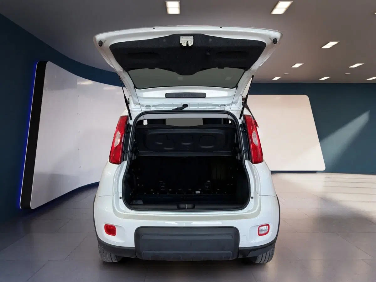 Fiat Panda Cross usata a Torino (7)