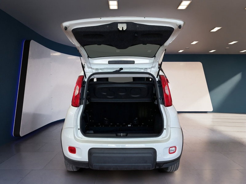 Fiat Panda Cross usata a Torino (7)