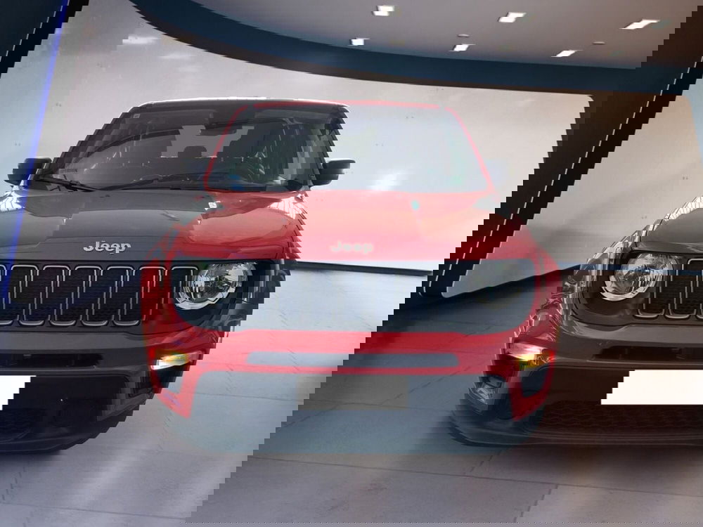 Jeep Renegade usata a Torino