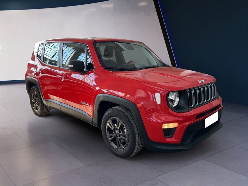 Jeep Renegade usata a Torino (2)